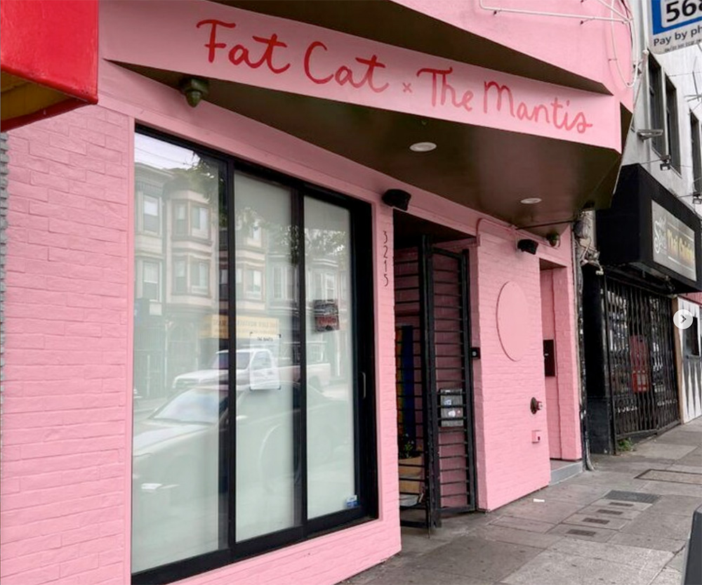 FatCatandTheMantissanfrancisco104