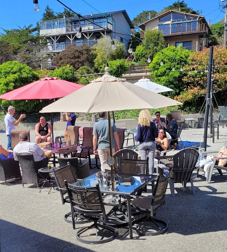 TheCoastalvinemossbeach110
