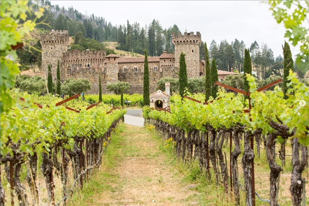 castellodiamorosa345 1024x683