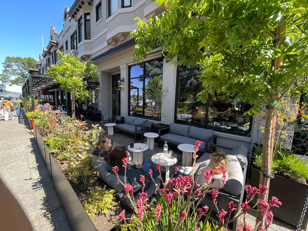 cultivarsausalito100 1024x768