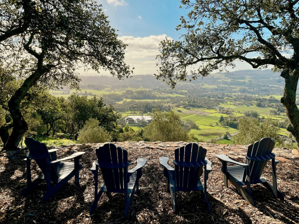 CourseyGravesEstateWinery5 1024x768