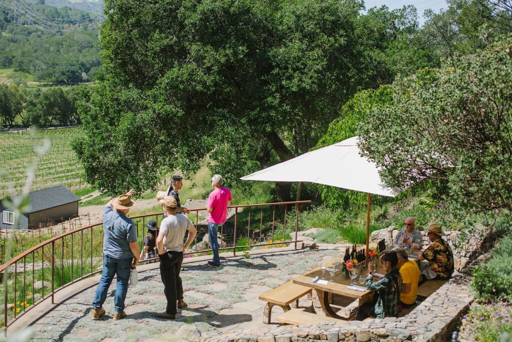 KivelstadtCellarsEstateVineyards107 1024x683