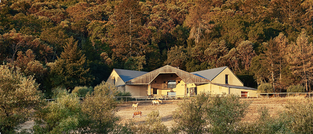 LongMeadowRanchMountainEstateTastingRoom1 1024x438