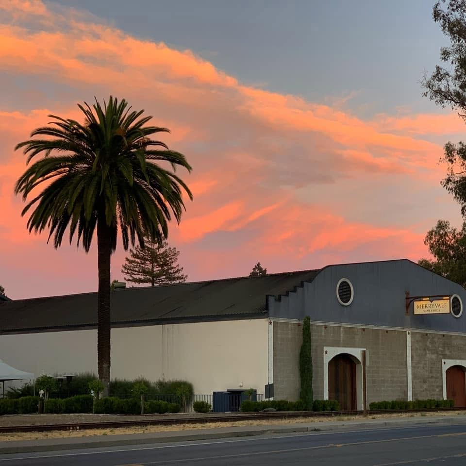 MerryvaleVineyards6