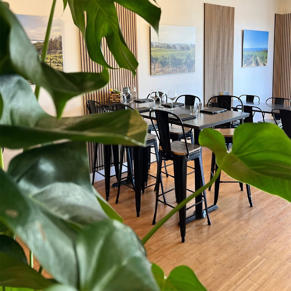 StressedVinesCellarsTastingRoomhealdsburg4 1