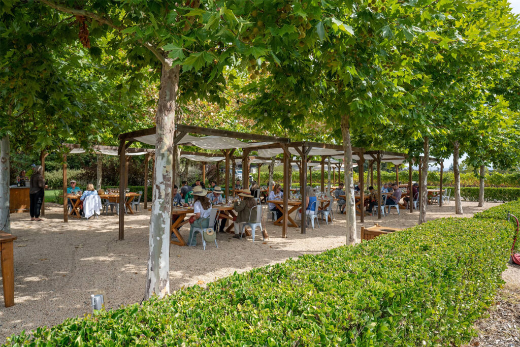 deloachvineyards6 1024x683