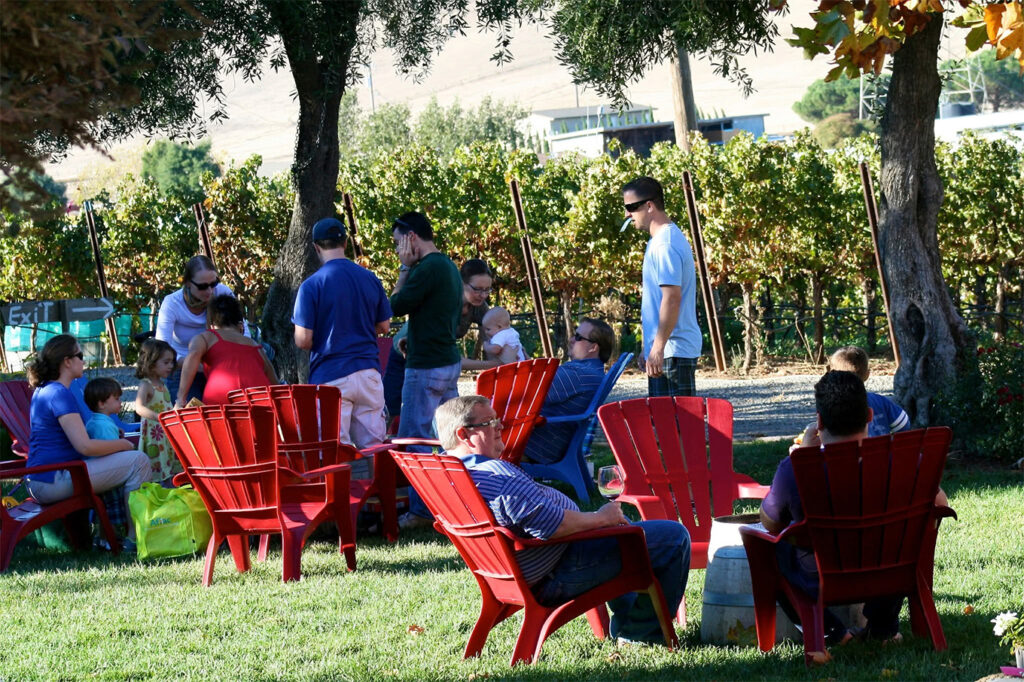 BoaventuradeCairesVineyard3 1024x682