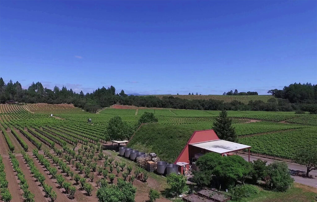 NalleWinery1 1024x655