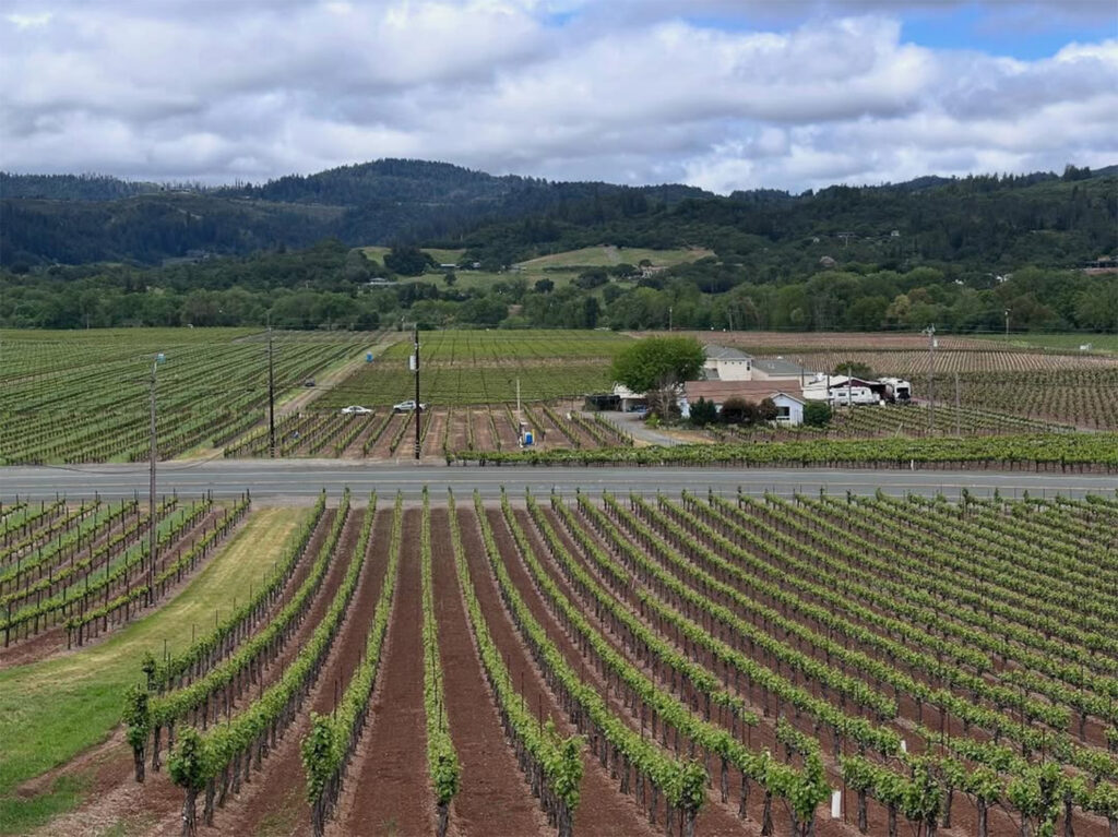 OptimaWinery6 1024x767