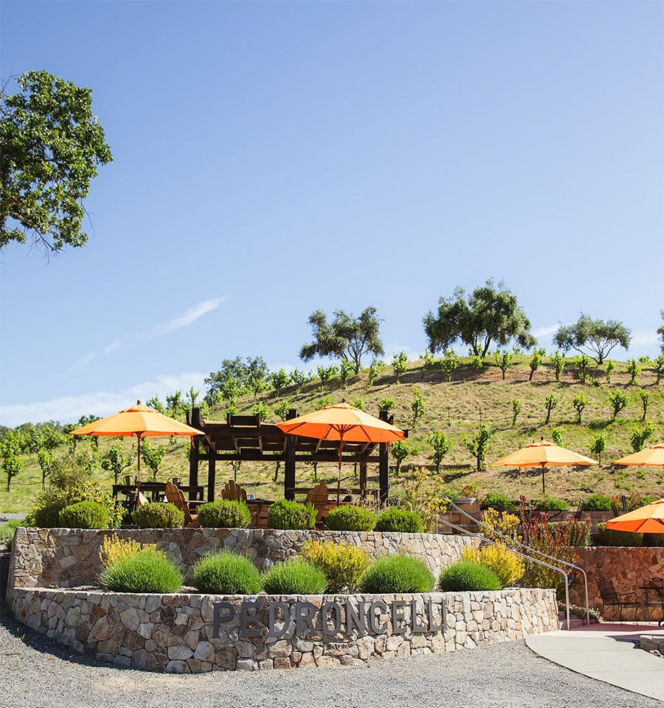 PedroncelliWinery4