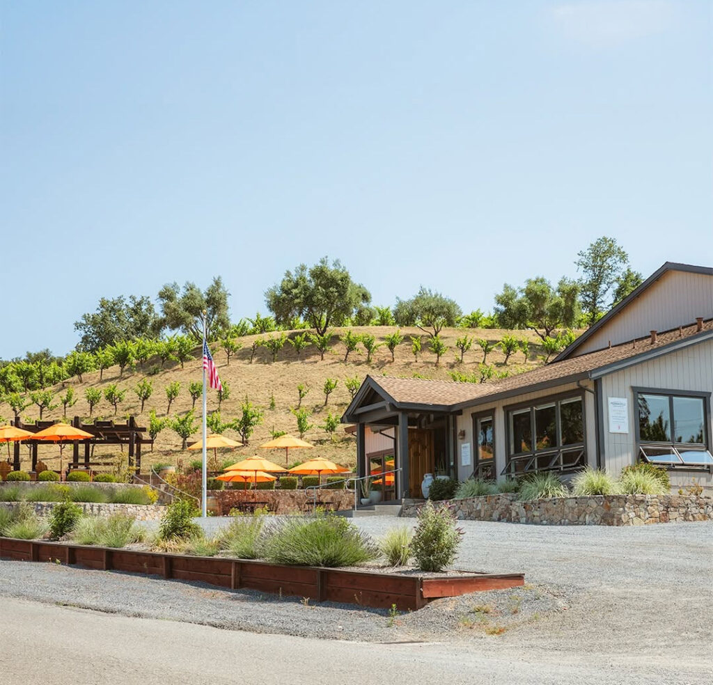 PedroncelliWinery6 1024x984