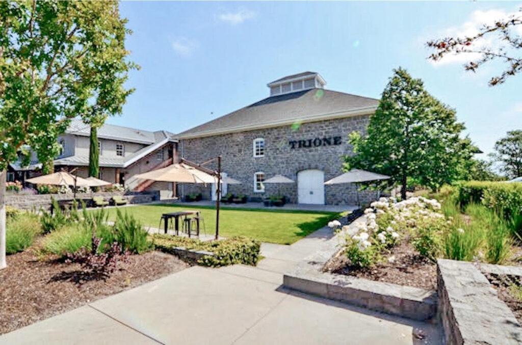 TrioneVineyardsandWinery1 1024x677