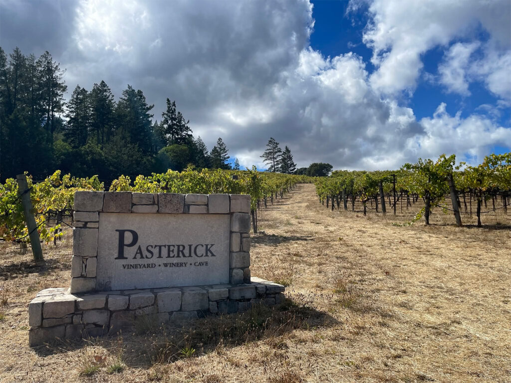 VineyardofPasterick1 1024x768