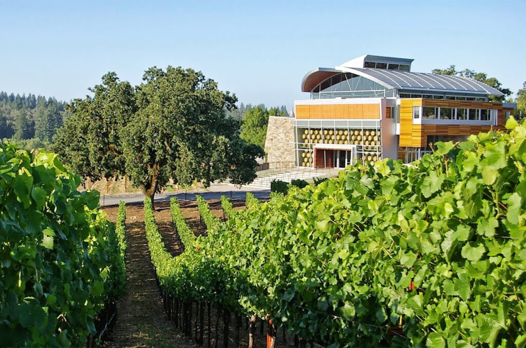 WilliamsSelyemWinery109 1024x678