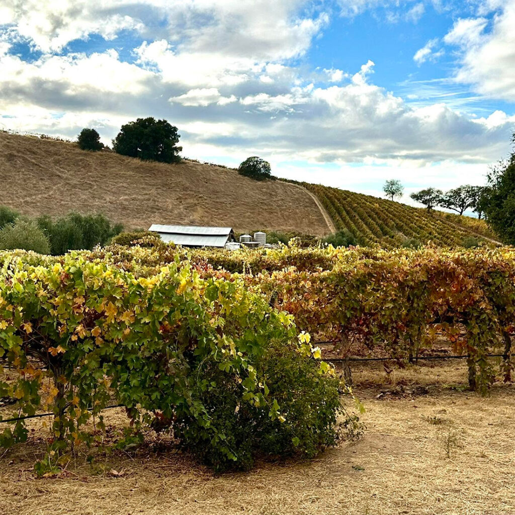 bentcreekwinery2 1024x1024