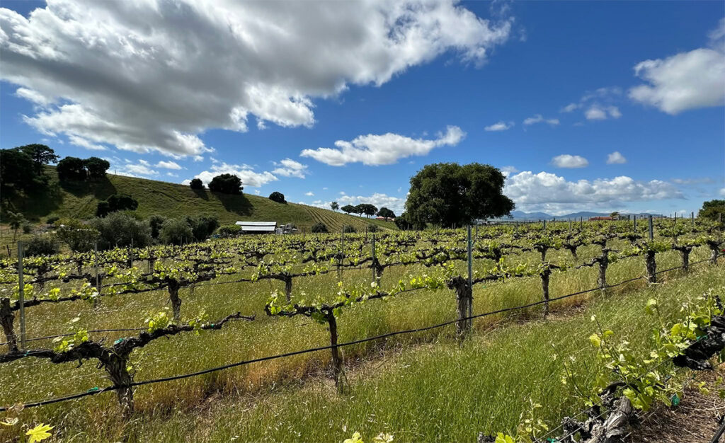 bentcreekwinery9 1024x626