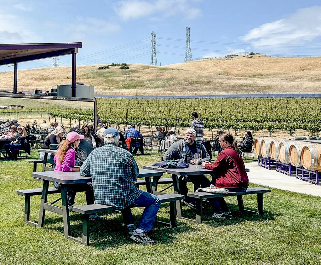 darciekentwinery10 1024x844