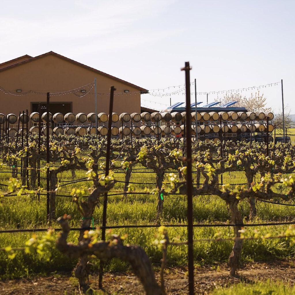 mcgrailvineyards1 1024x1024
