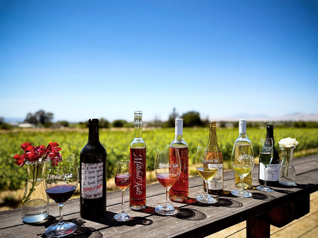 mitchellkatzwinery7 1024x768