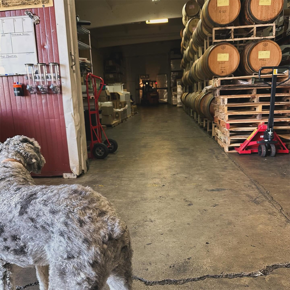 petersonwinery5