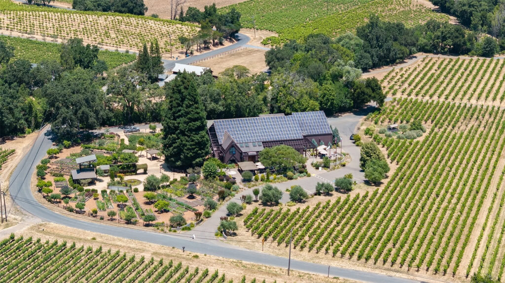 quivirawine8 1024x575