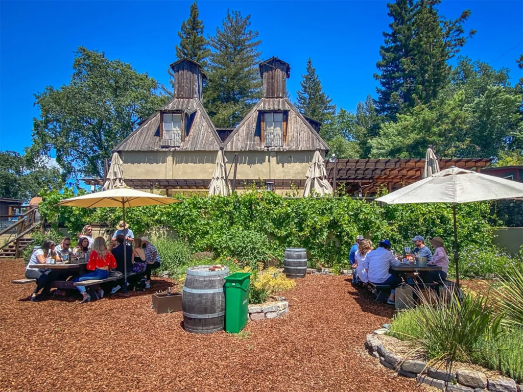 russianrivervineyards1 1024x768