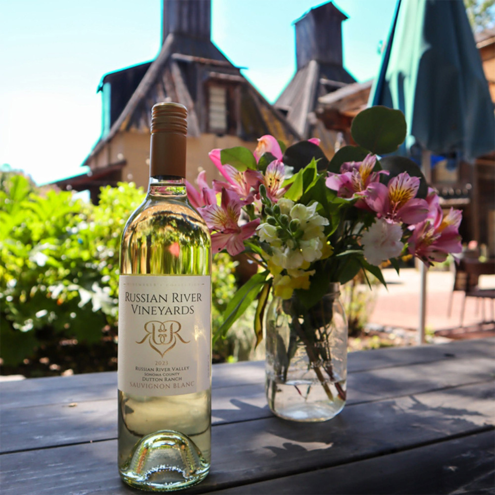russianrivervineyards5