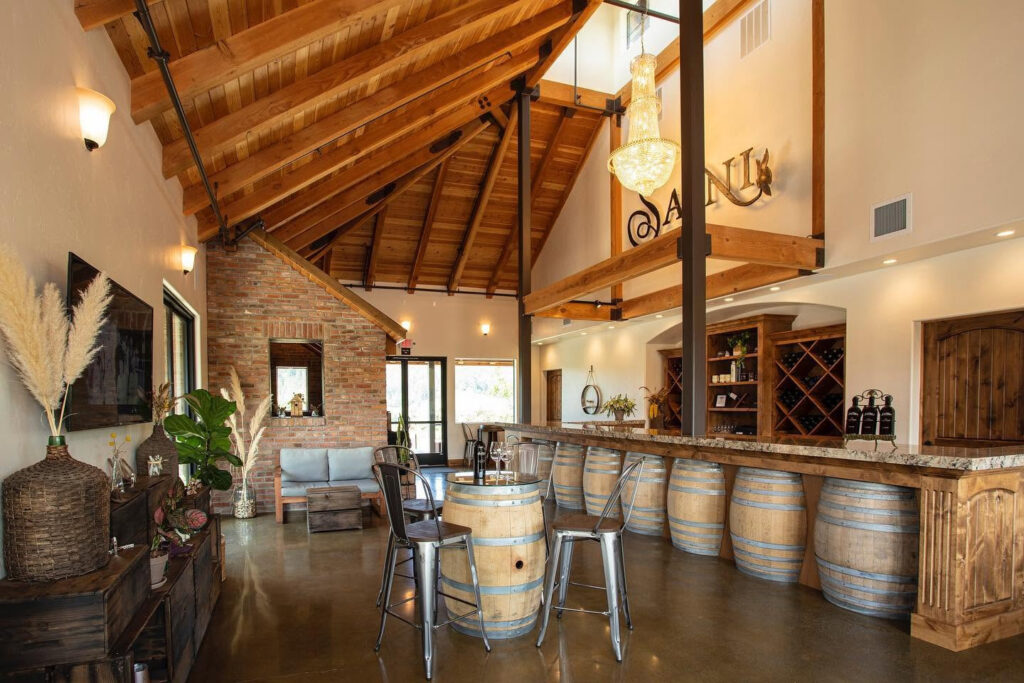sainivineyards1 1024x683