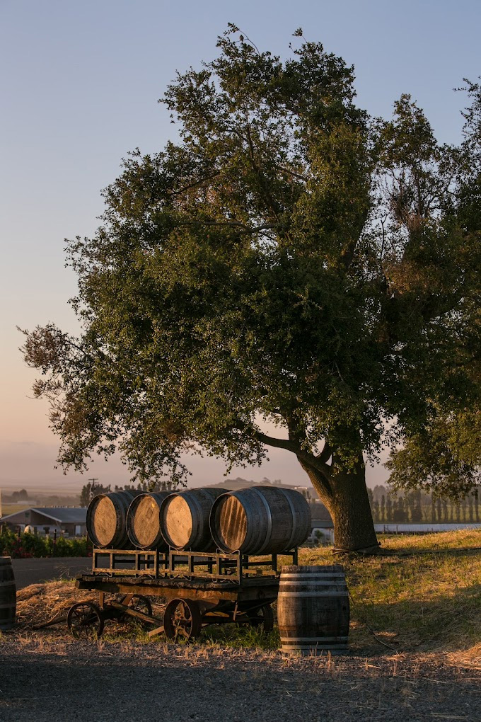 schugwinery2