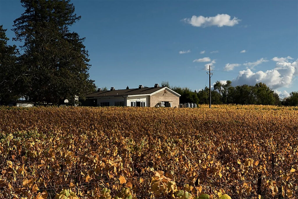 smallvineswines5 1024x685