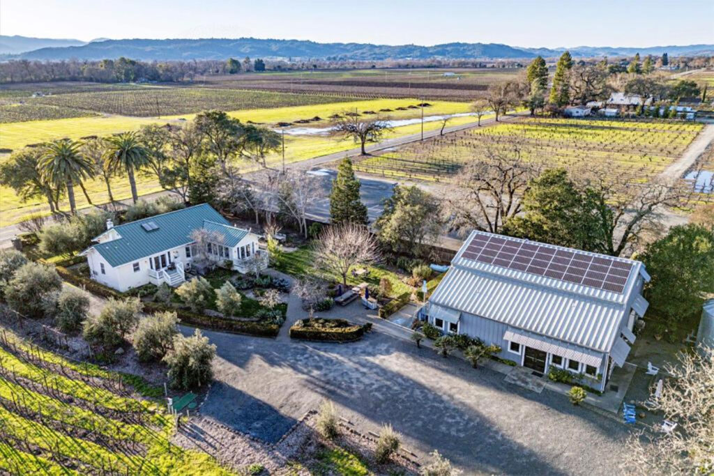 starlitevineyards2 1024x683