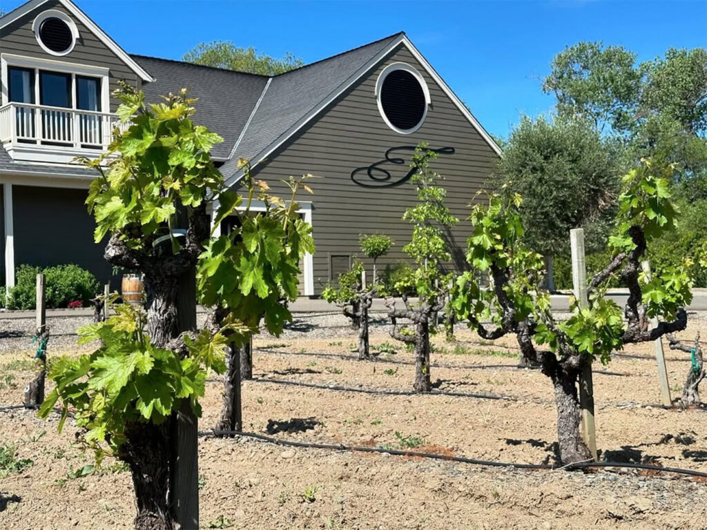 taltyvineyards2 1024x768