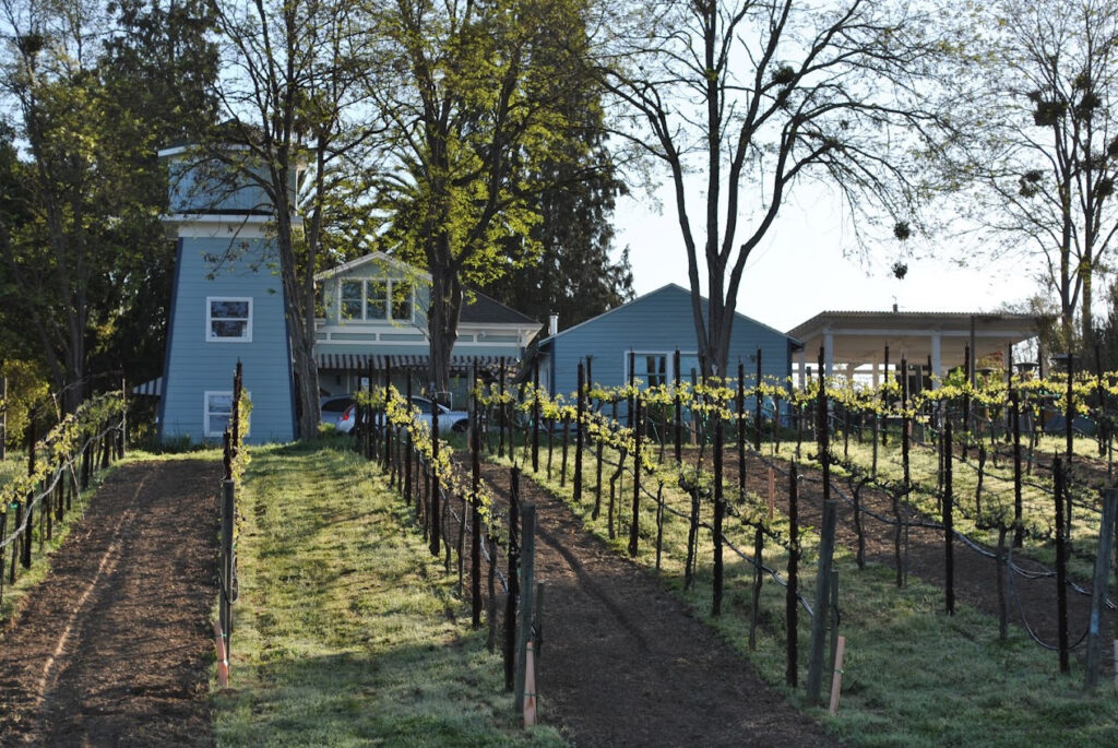 KoblerEstateWinery8 1024x685