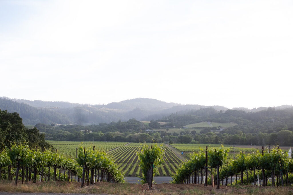 KokomoWineryDryCreekValley6 1024x683