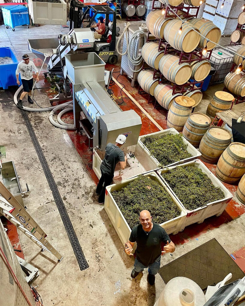 LongboardVineyards8 819x1024