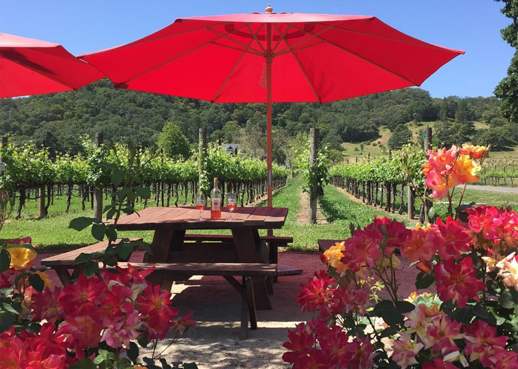 LoxtonCellars21 1024x730
