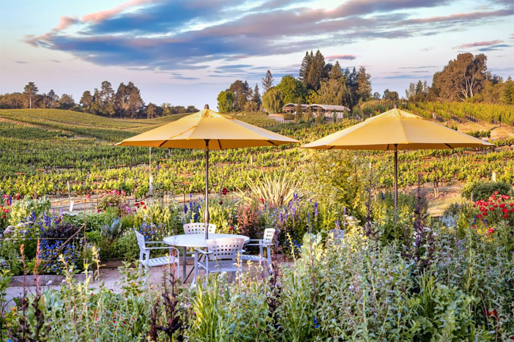 LynmarEstateWinery12 1024x682