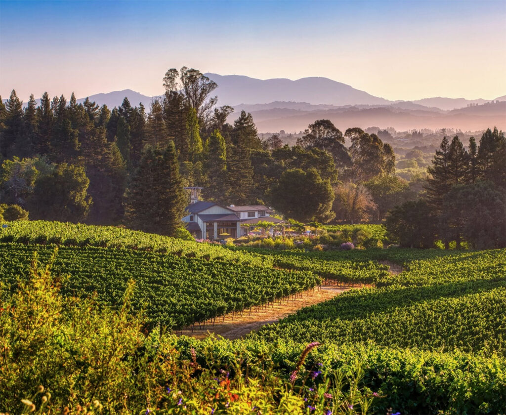 LynmarEstateWinery7 1024x840