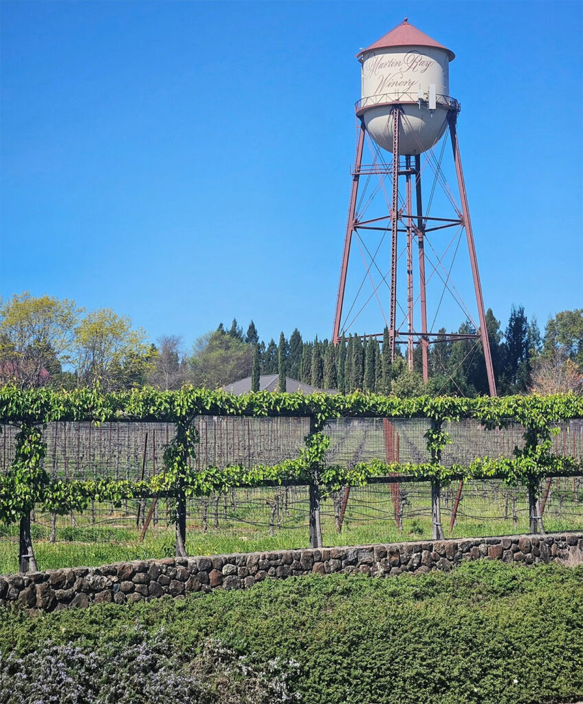 MartinRayWinery9 848x1024