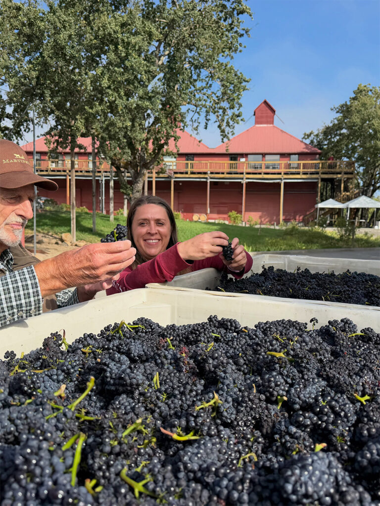 MartinelliVineyardsandWinery3 768x1024