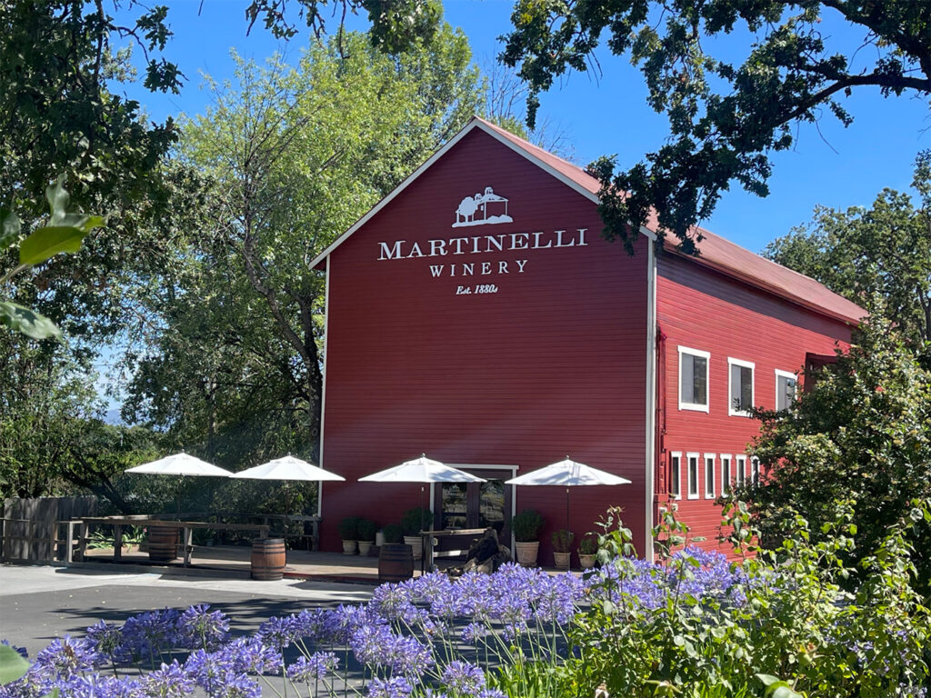 MartinelliVineyardsandWinery9 1024x768