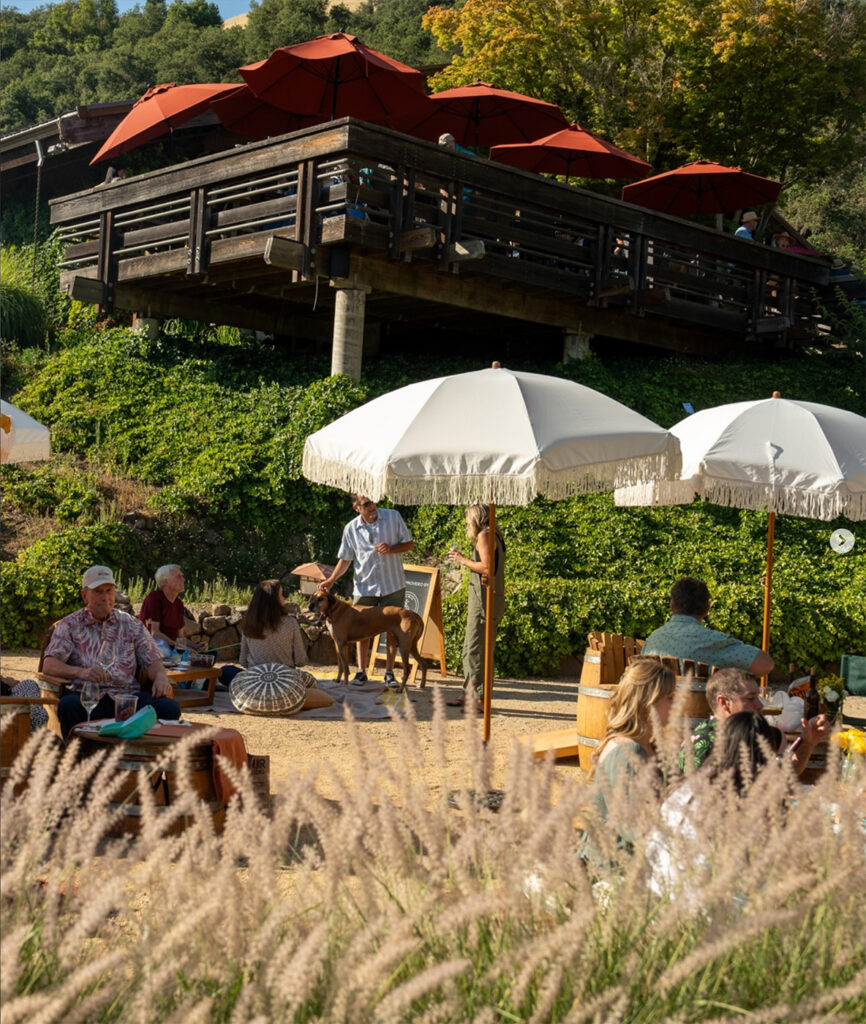 MatanzasCreekWinery4 866x1024