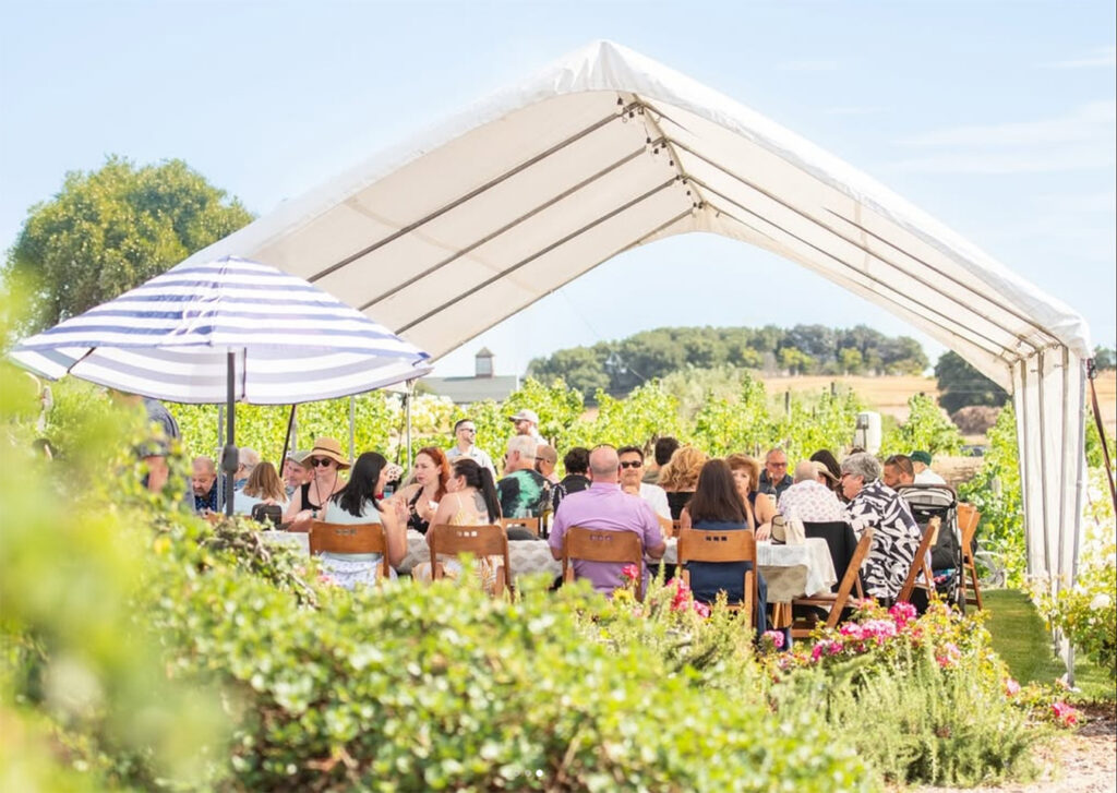 McKenzieMuellerWinery5 1024x727