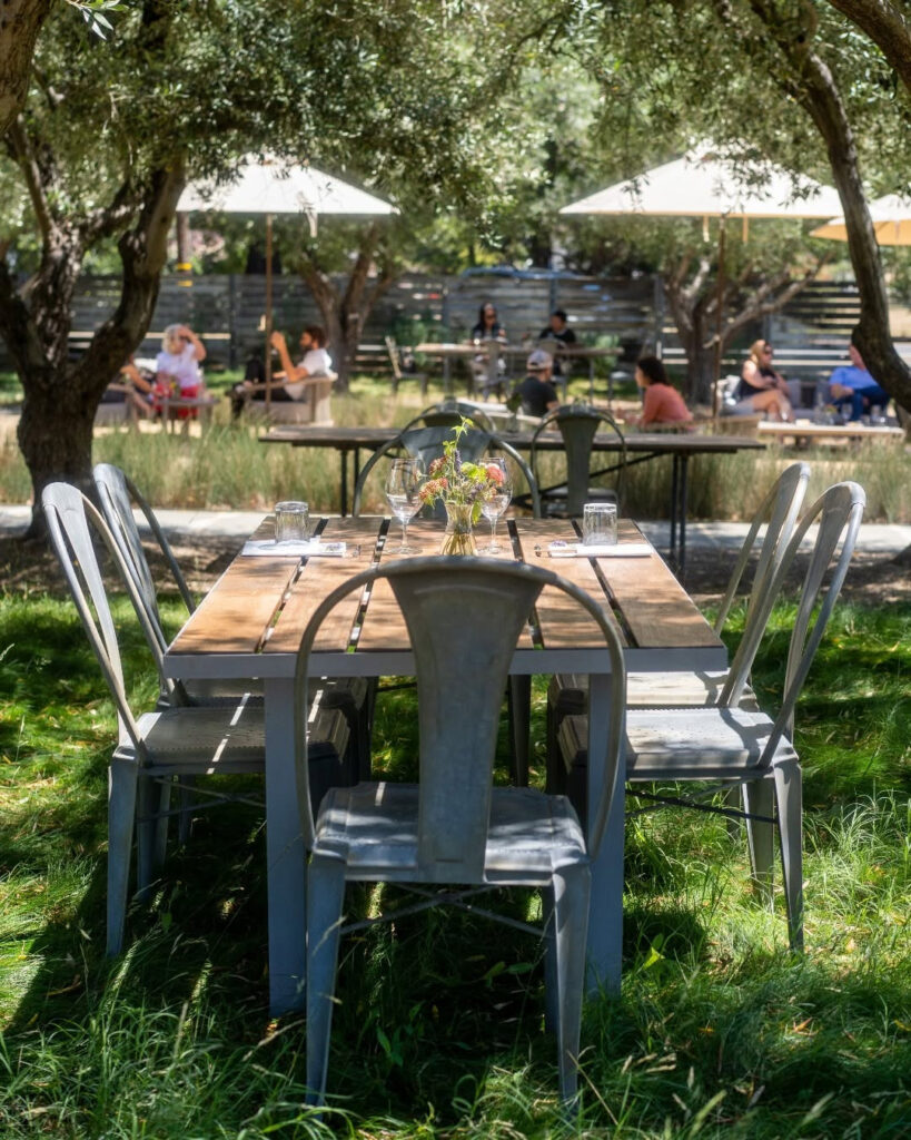 MedlockAmesHistoricHealdsburgTastingRoom4 819x1024