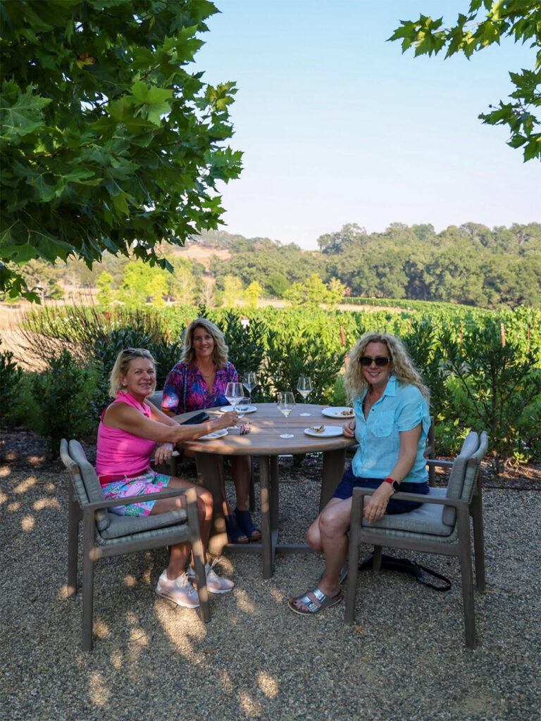 MerriamVineyards3 768x1024