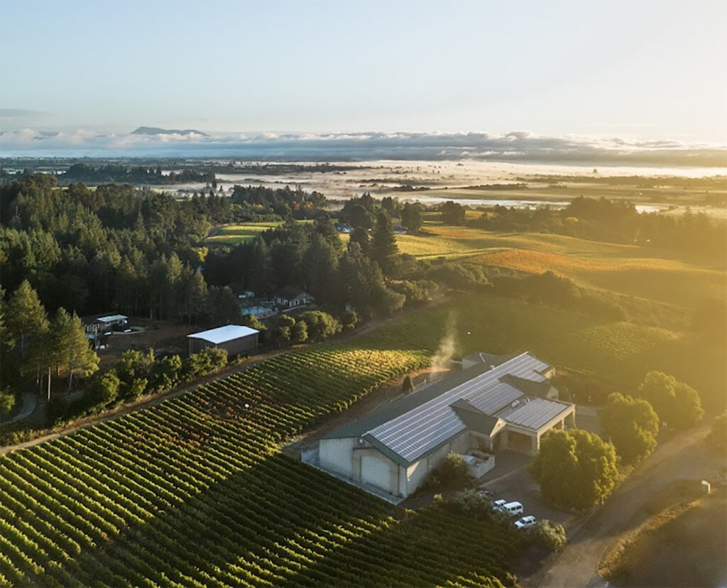 MerryEdwardsWinerySebastopol2 1024x828