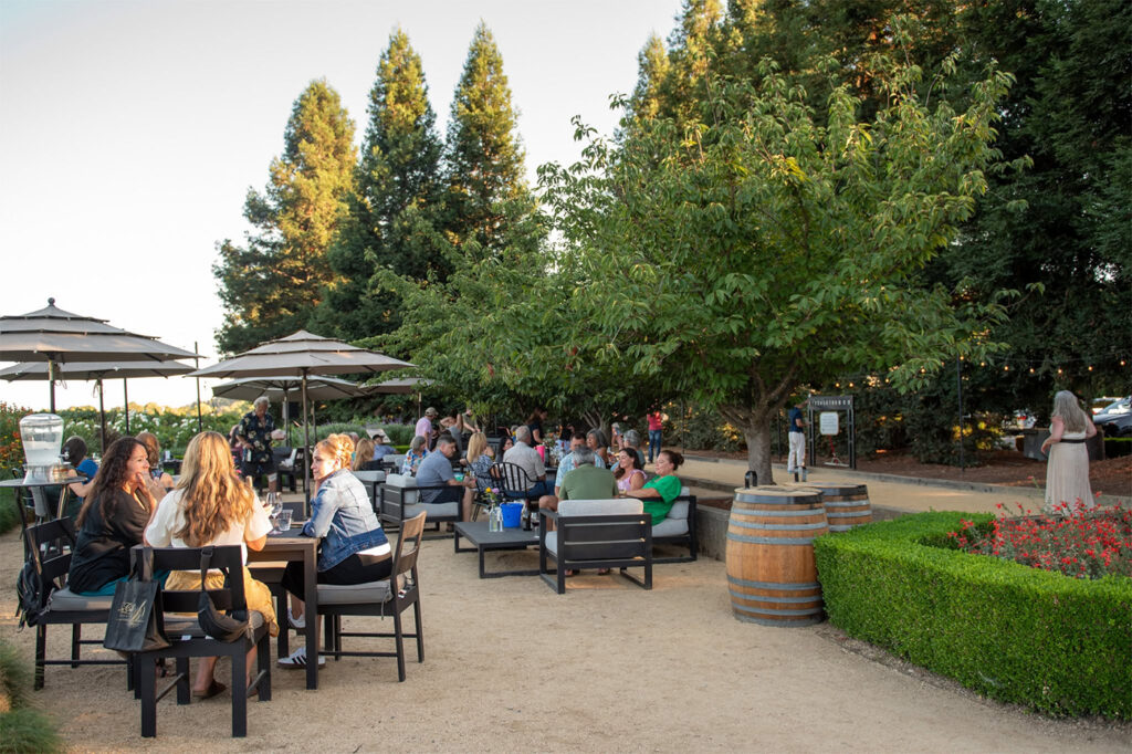 drycreekvineyard2 1024x682
