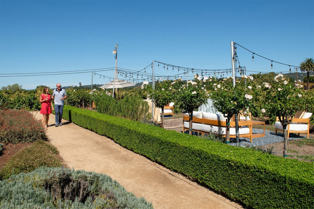 drycreekvineyard5 1024x682