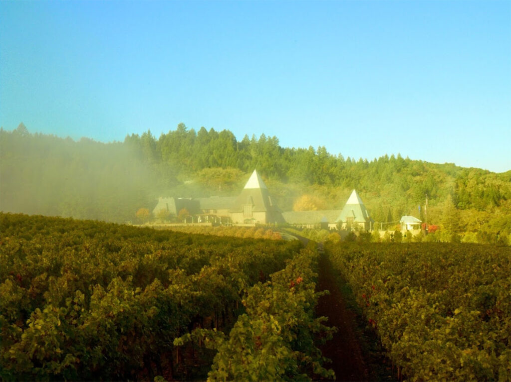 francisfordcoppolawinery3 1024x767