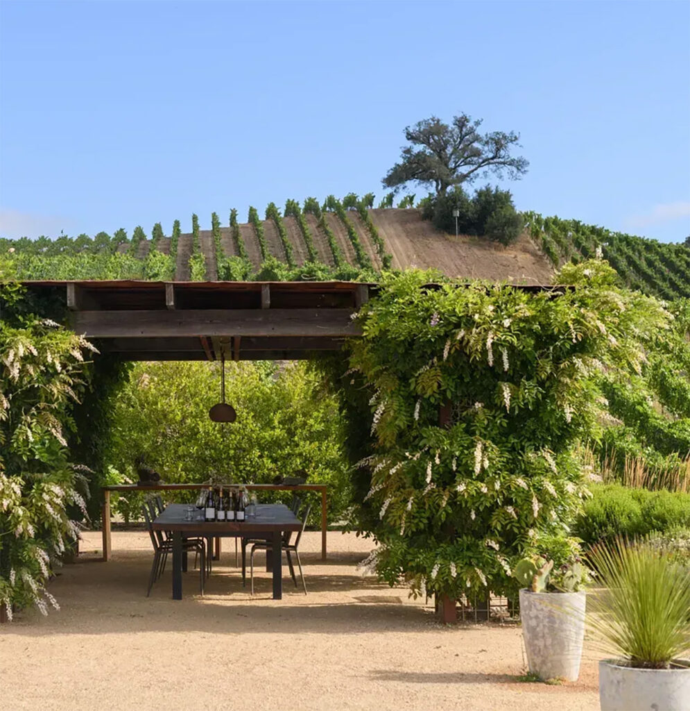 kistlervineyards6 995x1024